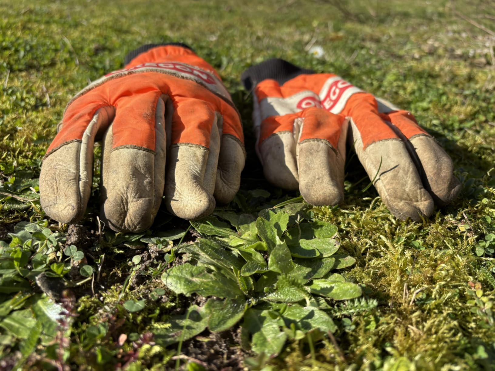 Oregon Yukon Gants cuir tronçonneuse taille M