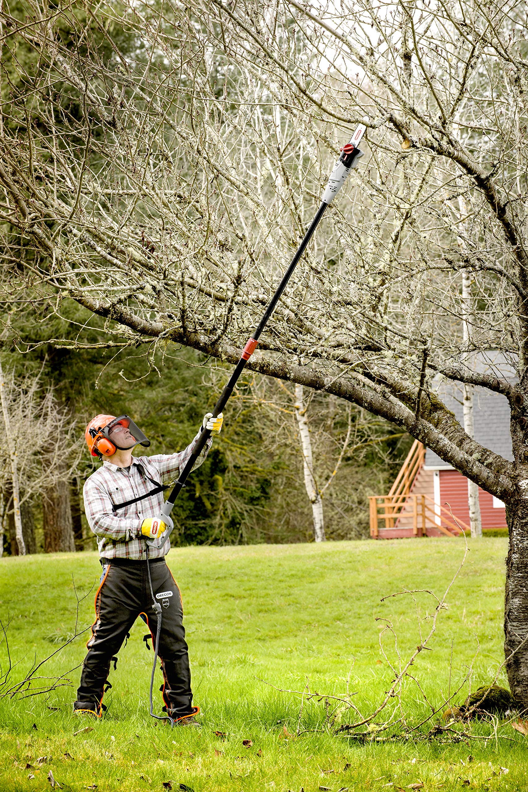 Oregon PS750 Élagueuse perche 230 V 20 cm 750 W