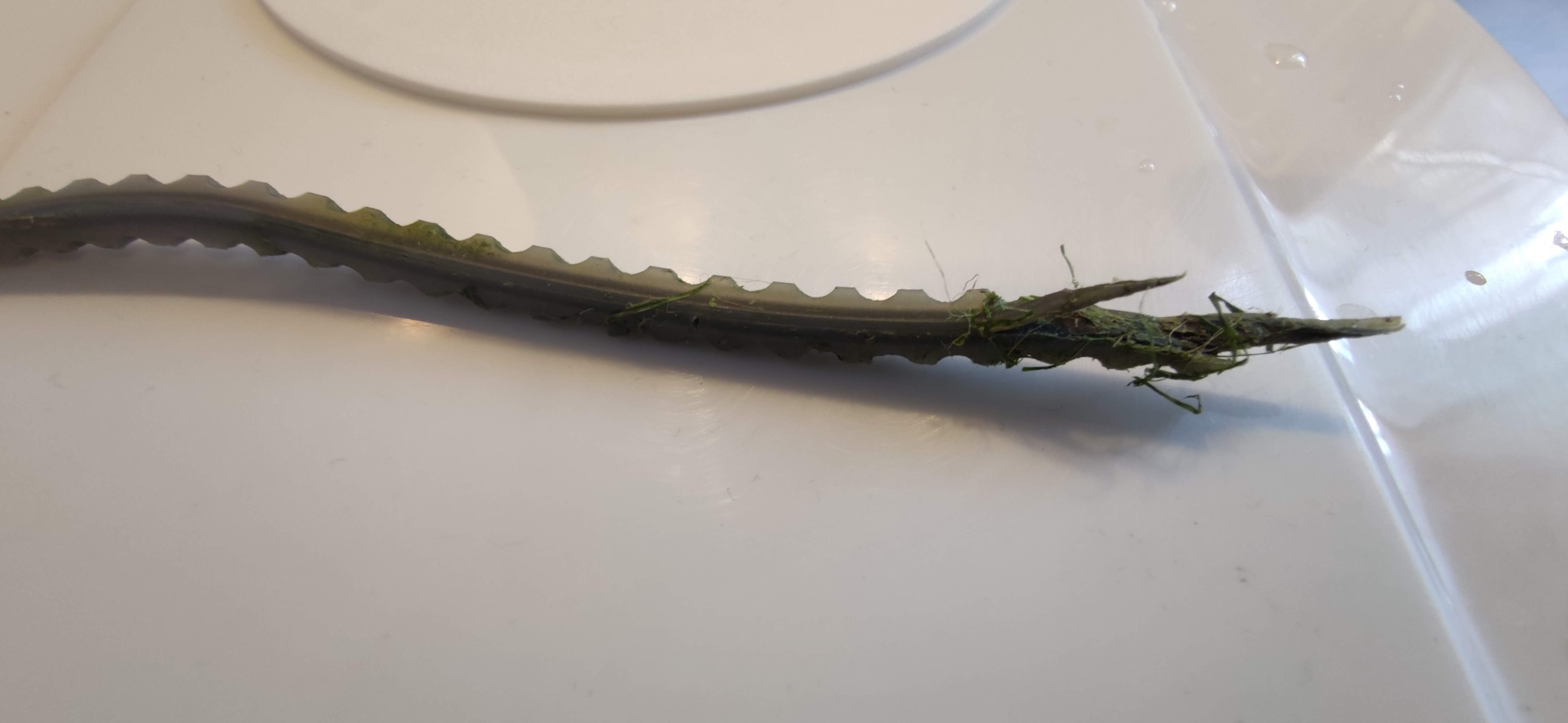Oregon FlexiBlade Fil Débroussailleuse 4 mm x 110 m Carré