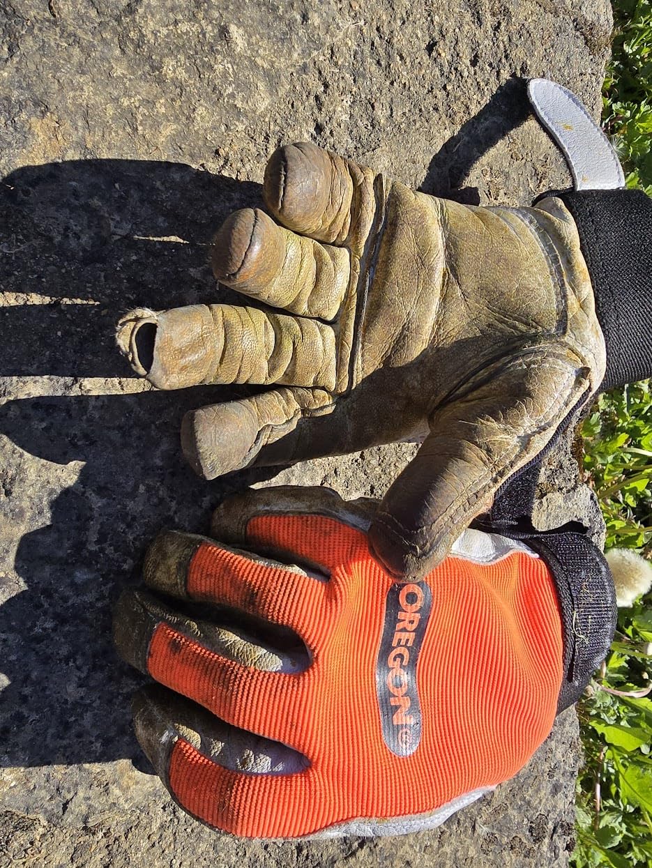 Oregon Gants Travail Haute Adhérence M Taille 10 Cuir