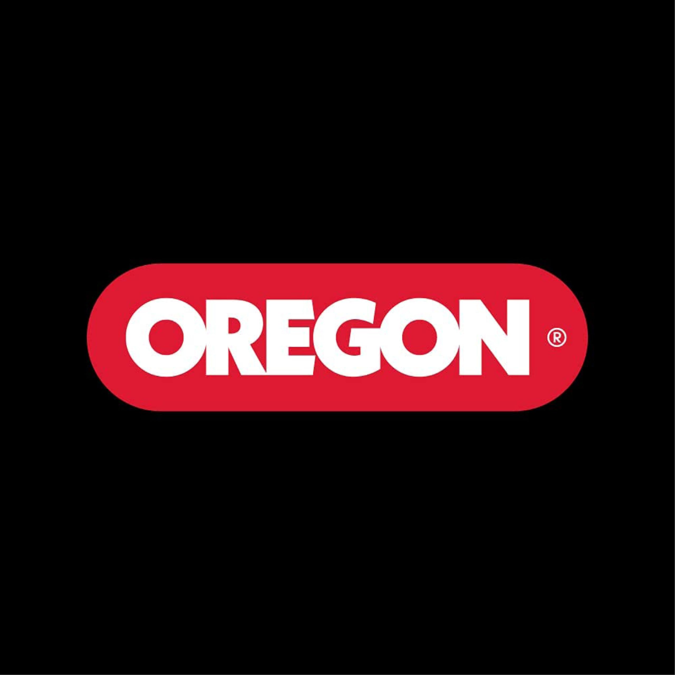 Oregon 91P040X3 chaîne tronçonneuse 25 cm lot de 3