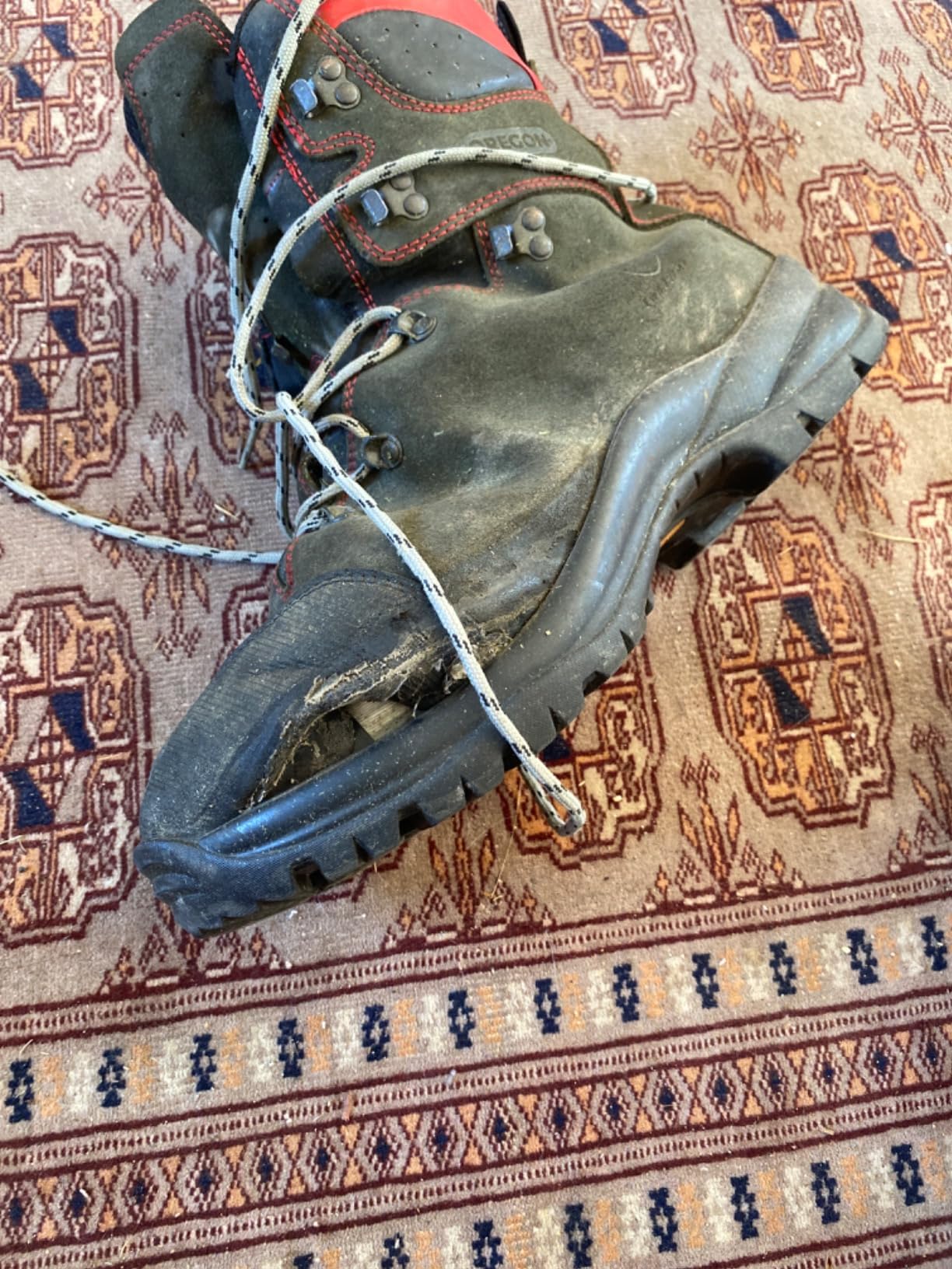 Oregon Waipoua Chaussures Sécurité Tronçonneuse 40 EU Cuir