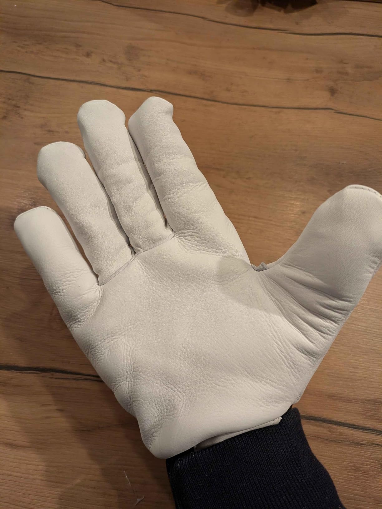 Oregon Gants Hiver Cuir Isolant S Taille 9 Froid