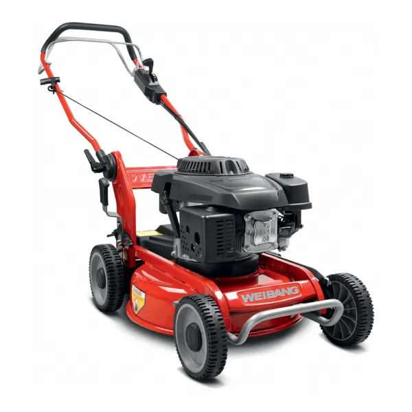 Sabre France Tondeuse mulching 46 cm coupe Loncin 139 cc