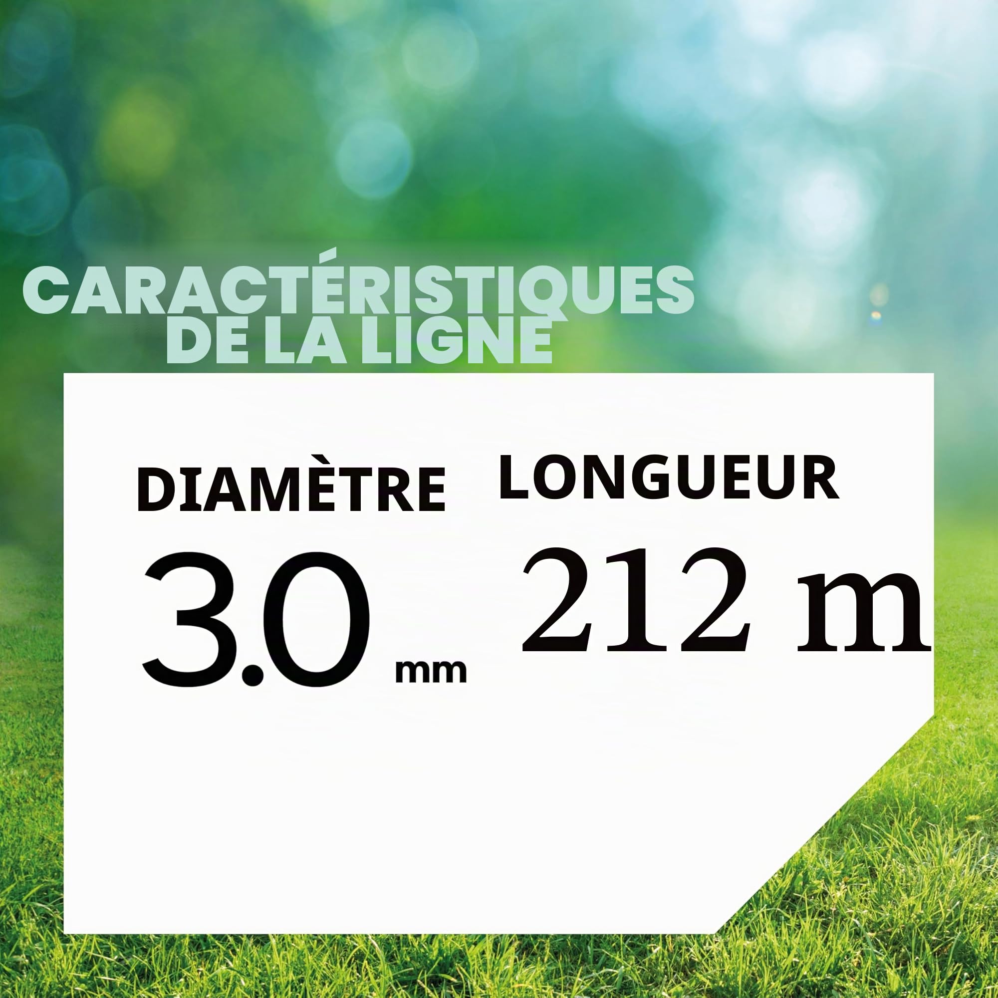 Oregon Fil Débroussailleuse Étoile 3 mm x 212 m Jaune
