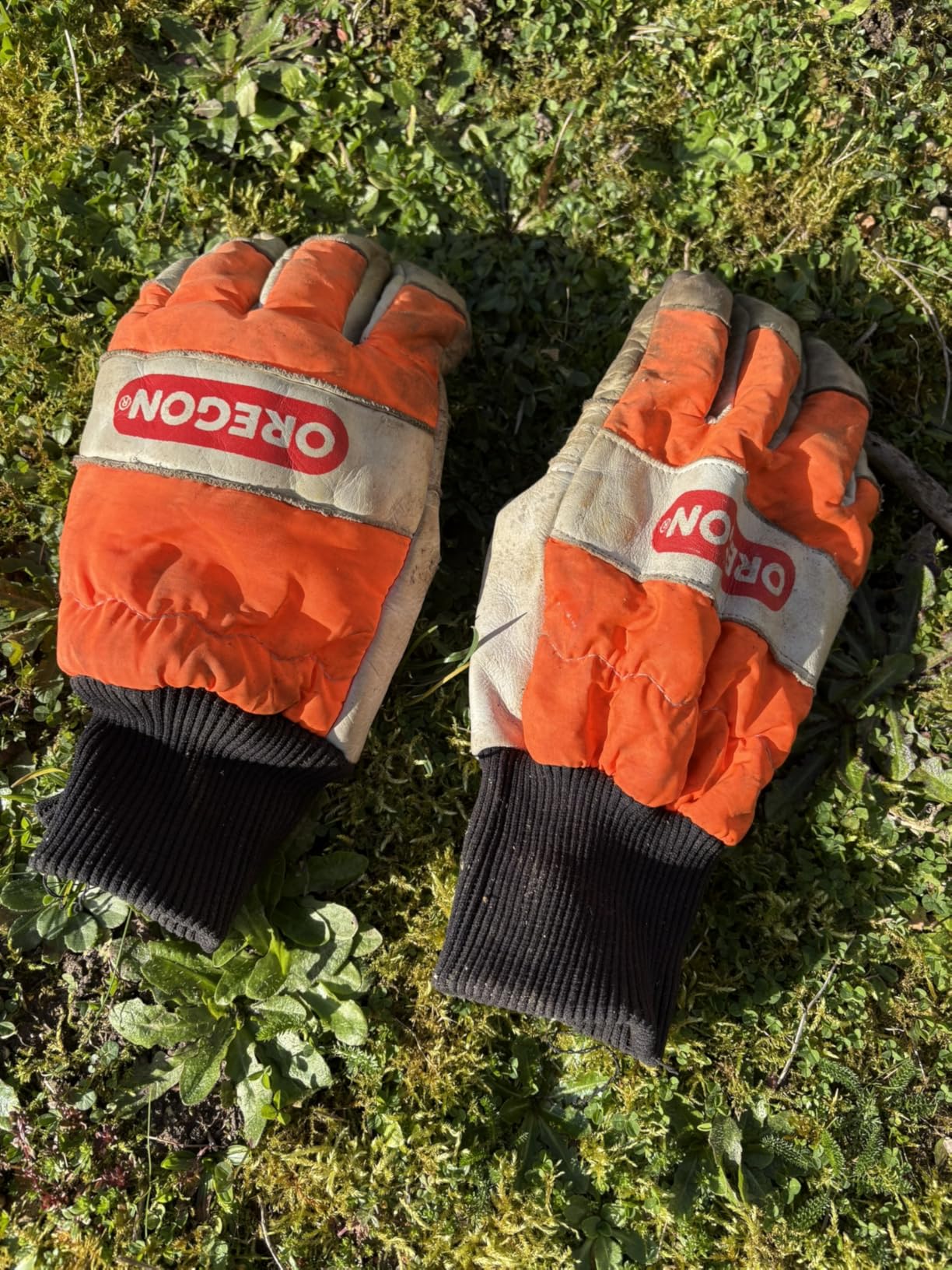 Oregon Yukon Gants cuir tronçonneuse taille M