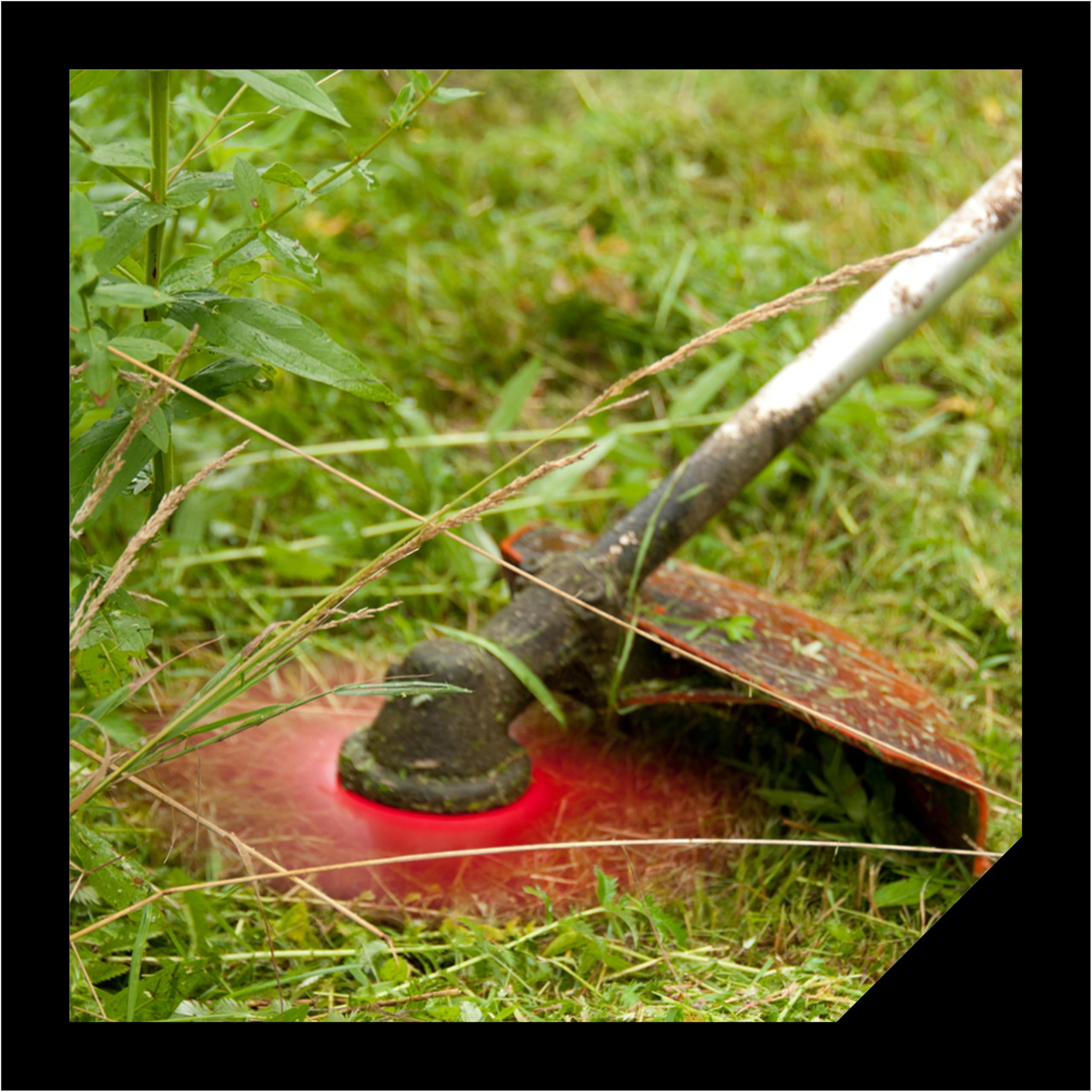 Oregon Lame débroussailleuse 3 dents 3.0x220 mm acier